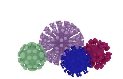 病毒细胞max2014模型