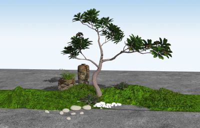 中式小景观绿植树石头假山鹅卵石组合
