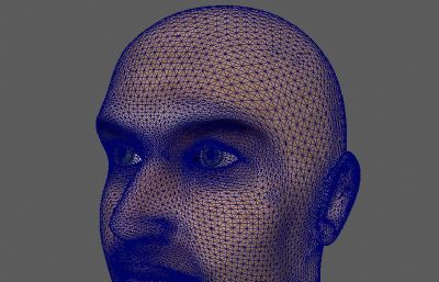 欧美男人脸部头部maya模型,带贴图