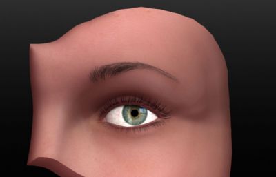 真实超写实女孩眼睛眼部特写maya模型