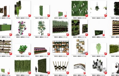 垂直绿化、植物墙SU模型（网盘下载）