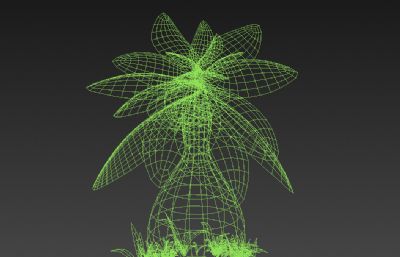 Q版独特植物模型3D模型