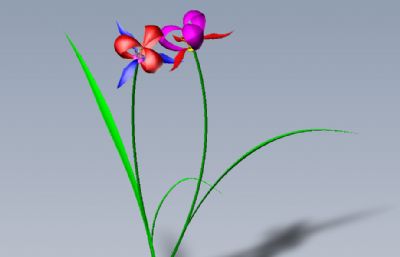 两款花朵solidworks图纸模型