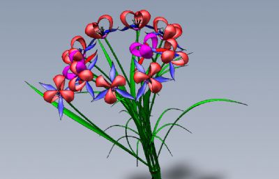 两款花朵solidworks图纸模型