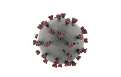 新冠病毒3D模型，OBJ格式