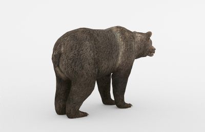 棕熊3D模型,max+fbx格式,带绑定,带100帧奔跑攻击动画
