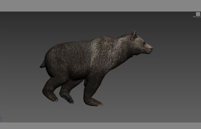 棕熊3D模型,max+fbx格式,带绑定,带100帧奔跑攻击动画