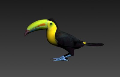 巨嘴鸟,大嘴鸟3D模型,还有OBJ格式的素模