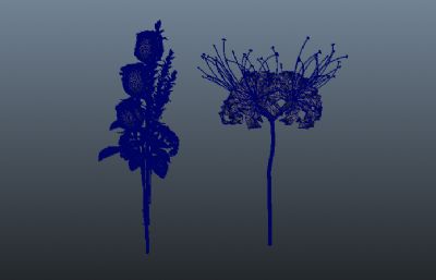 绽放的玫瑰花,彼岸花 maya模型,另附obj,fbx格式模型