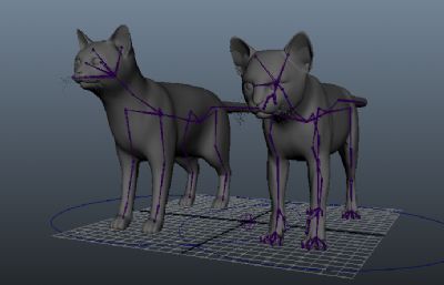 两款家猫,影视级高精度maya模型,有绑定,有贴图