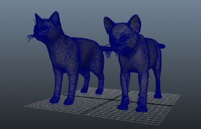 两款家猫,影视级高精度maya模型,有绑定,有贴图