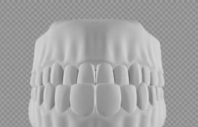 口腔牙齿模型,ZTL,C4D,FBX,OBJ四种格式