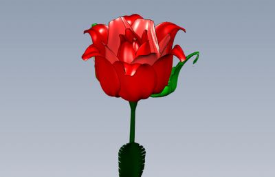 二款玫瑰花Soildworks图纸模型,附STP,IGS格式