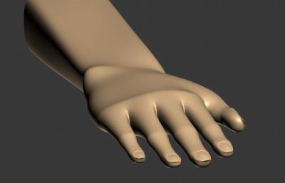 手臂手掌3D模型简模