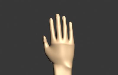 手臂手掌3D模型简模