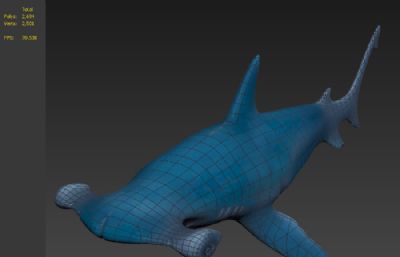 蓝色锤头鲨海洋动物3D模型