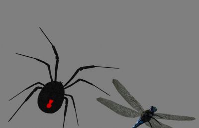 黑寡妇蜘蛛+蓝蜻蜓maya模型,文件有maya,fbx,obj