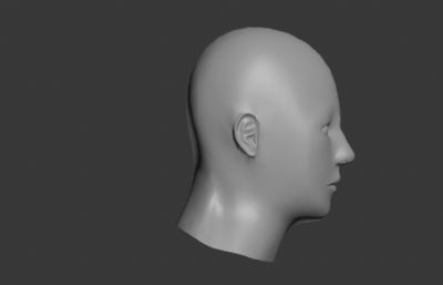 人物头部练习作品3D模型