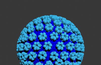 單純皰疹病毒,HSV病毒3D模型,附3D打印stl文件（嚴格按照醫學觀察理論外貌制作,網盤下載）