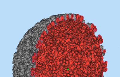 单纯疱疹病毒,HSV病毒3D模型,附3D打印stl文件（严格按照医学观察理论外貌制作,网盘下载）