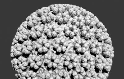 单纯疱疹病毒,HSV病毒3D模型,附3D打印stl文件（严格按照医学观察理论外貌制作,网盘下载）