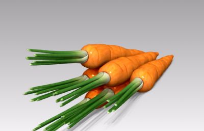 写实胡萝卜maya模型