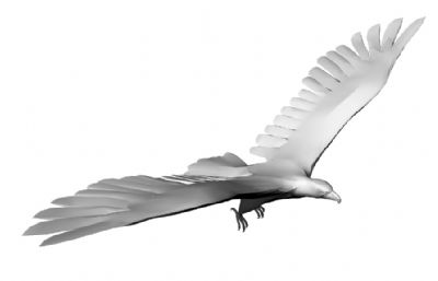 飞翔的老鹰,鸟3D模型,stl格式