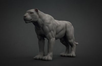 强壮期的肌肉狮子zbrush模型