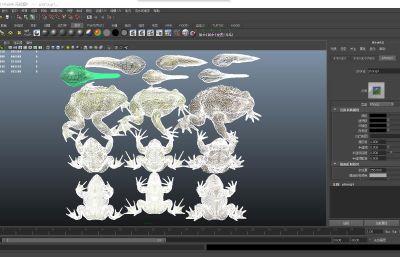 美国牛蛙,青蛙,中华蟾蜍,癞蛤蟆,蝌蚪3D模型,有MAX,MB,ZTL,SKP格式
