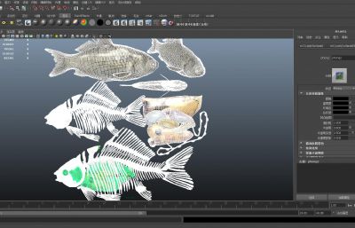 鲫鱼解剖骨架骨骼标本3D模型,MAX,MB,SKP三种格式