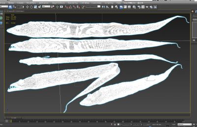 东海带鱼,刀鱼3D模型,MAX,MB,ZPR,STL多种格式