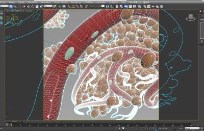 血管和相连的细胞,现代医学器官3D模型,有MAX,MB,OBJ,SKP格式