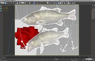 淡水鲈鱼,加州大口黑鲈鱼3D模型,MAX,MB,SKP多种格式