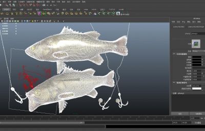淡水鲈鱼,加州大口黑鲈鱼3D模型,MAX,MB,SKP多种格式