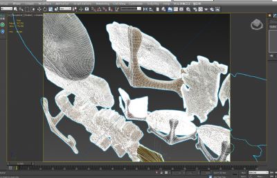 仿古生物化石摆件3D模型,有MAX,SKP文件