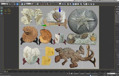 仿古生物化石摆件3D模型,有MAX,SKP文件