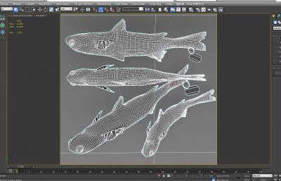 鲻鱼,梭鱼3D模型,MAX,MB,OBJ,ZPR,SKP多种格式