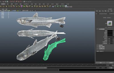 鲻鱼,梭鱼3D模型,MAX,MB,OBJ,ZPR,SKP多种格式