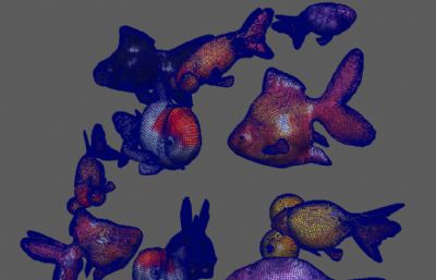 各种金鱼,观赏鱼组合3D模型,有MAX,MB,FBX,OBJ,ZPR,SKP格式