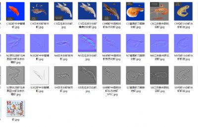 多种河虾,龙虾,海虾,基围虾组合标本3D模型,MAX,SKP多种格式