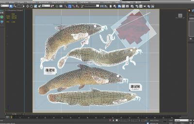 中华泥鳅,水蚯蚓3D模型,MAX,MB,ZTL,OBJ格式