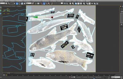 长江刀鱼,太湖银鱼,华鳈鱼标本3D模型,MAX,MB,OBJ,ZTL等格式