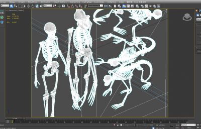 人類,猩猩,猿猴骨架,猿人骨骼3D模型,MAX,MB兩種格式