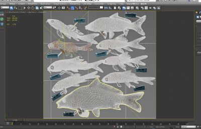 锦鲤,鲤鱼,观赏鱼3D模型,MAX,MB,SKP等多种格式