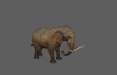 大象3D模型,带攻击,奔跑,走路等13套动画(网盘下载)
