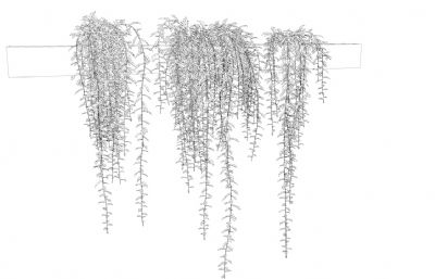 绿萝藤蔓植物,阳花装饰3D模型