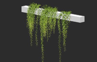 绿萝藤蔓植物,阳花装饰3D模型