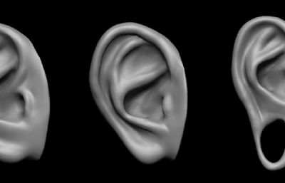 三款不同造型的耳朵高模OBJ模型