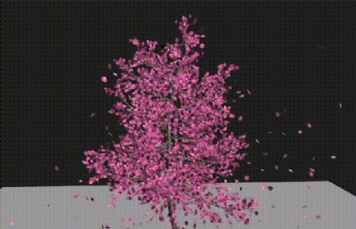 樱花树樱花随风飘落3D,max动画源文件