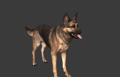 次世代狼狗,警犬3D模型,带绑定